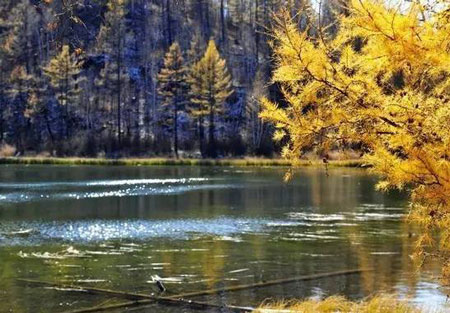 阿爾山國家森林公園