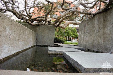 美國舊金山Levi公園實景圖