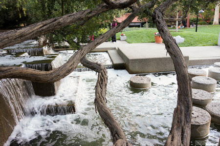 美國舊金山Levi公園實景圖