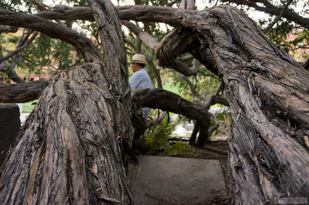 美國舊金山Levi公園實景圖