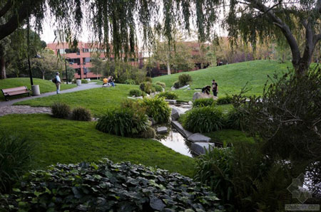 美國舊金山Levi公園實景圖