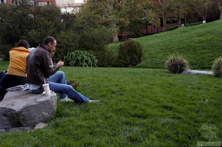 美國舊金山Levi公園實景圖