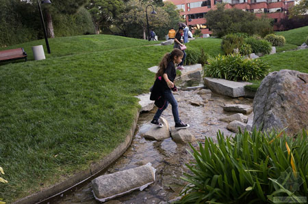 美國舊金山Levi公園實景圖