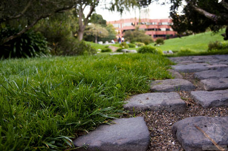 美國舊金山Levi公園實景圖