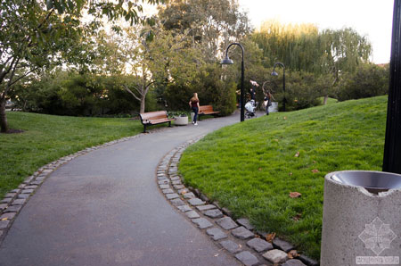 美國舊金山Levi公園實景圖