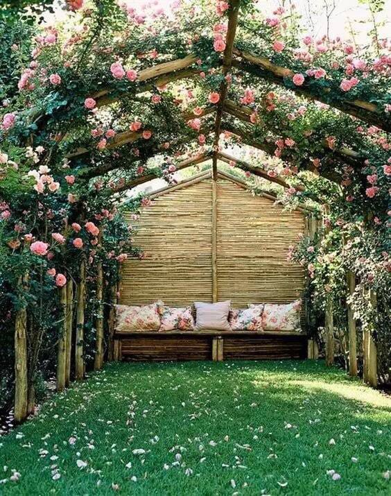 園藝：院子里夢境般的花果藤架