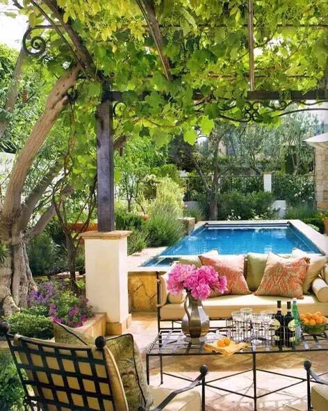 園藝：院子里夢境般的花果藤架