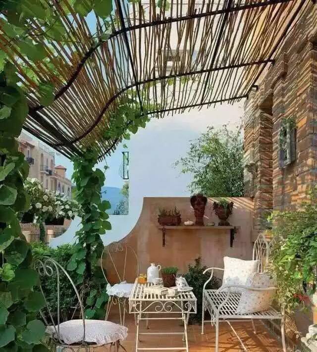 12.jpg 園藝:院子里夢境般的花果藤架