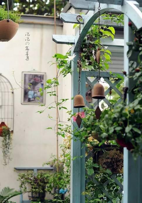 園藝：院子里夢境般的花果藤架