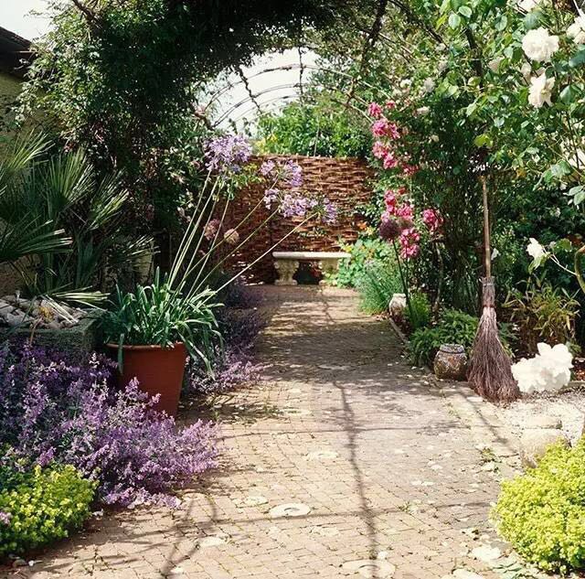 14.jpg 園藝:院子里夢境般的花果藤架