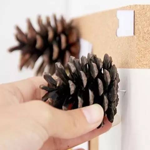 640-13.jpeg 松果飾品,那些你想不到的美麗