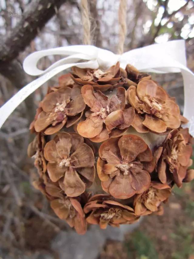 640-18.jpeg 松果飾品,那些你想不到的美麗