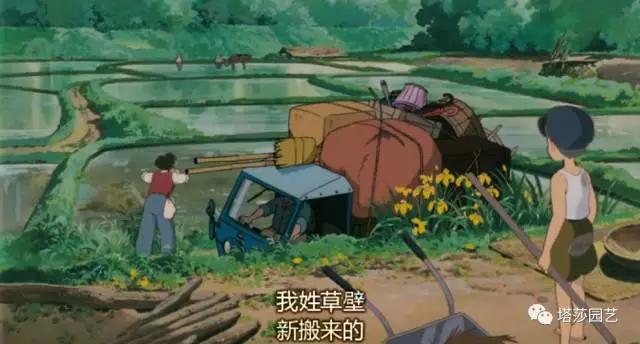 2.jpg 治愈系:《龍貓》中的植物世界(一)