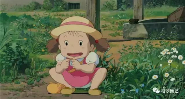 5.jpg 治愈系:《龍貓》中的植物世界(一)