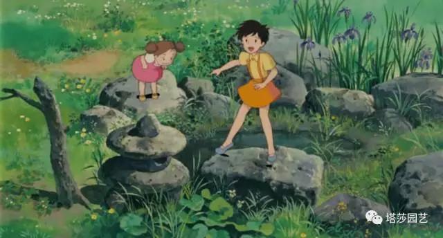 7.jpg 治愈系:《龍貓》中的植物世界(一)