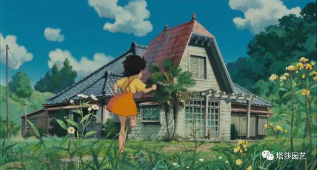 4.jpg 治愈系:《龍貓》中的植物世界(一)