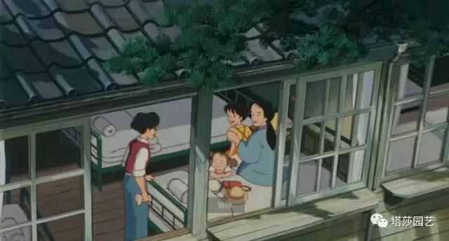 11.jpg 治愈系:《龍貓》中的植物世界(一)