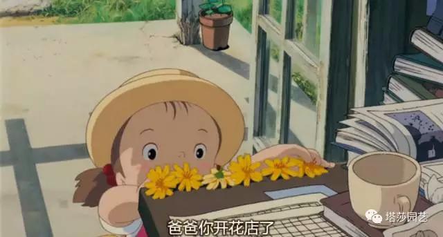 12.jpg 治愈系:《龍貓》中的植物世界(一)