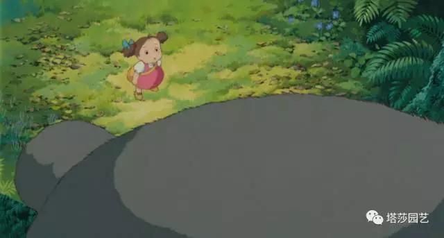 治愈系：《龍貓》中的植物世界（一）
