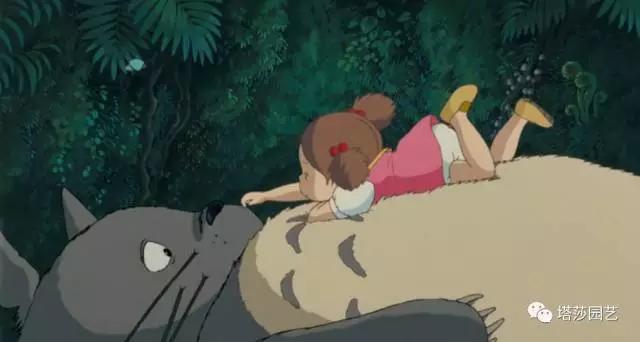 治愈系：《龍貓》中的植物世界（一）