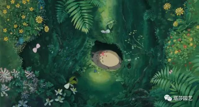 治愈系：《龍貓》中的植物世界（一）