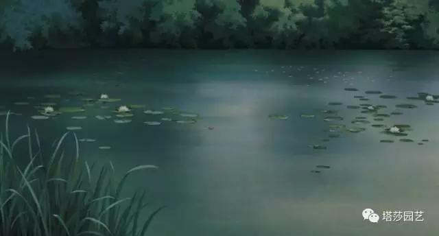 治愈系：《龍貓》中的植物世界（一）