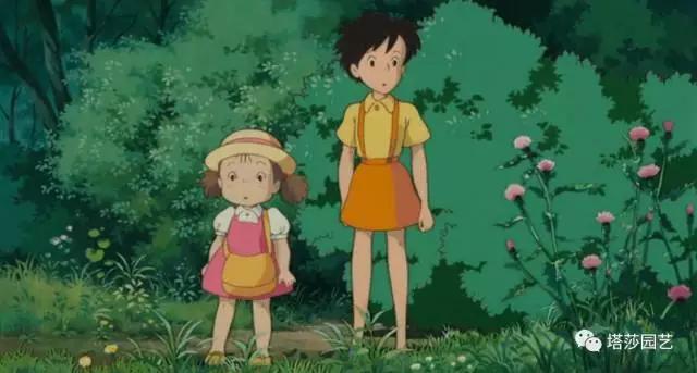 治愈系：《龍貓》中的植物世界（一）