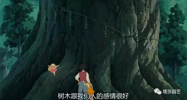 治愈系：《龍貓》中的植物世界（一）