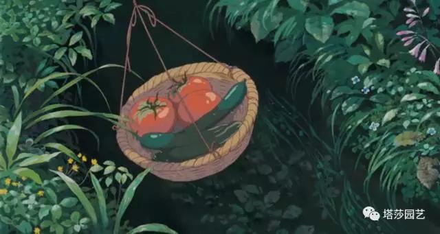 治愈系：《龍貓》中的植物世界（二）