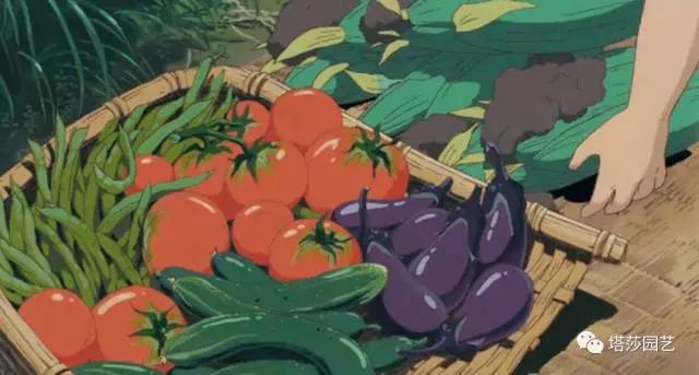 治愈系：《龍貓》中的植物世界（二）