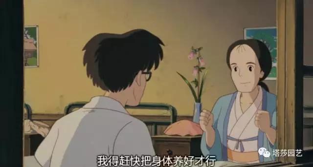 治愈系：《龍貓》中的植物世界（二）