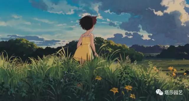 治愈系：《龍貓》中的植物世界（二）