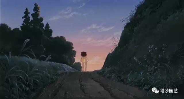 治愈系：《龍貓》中的植物世界（二）