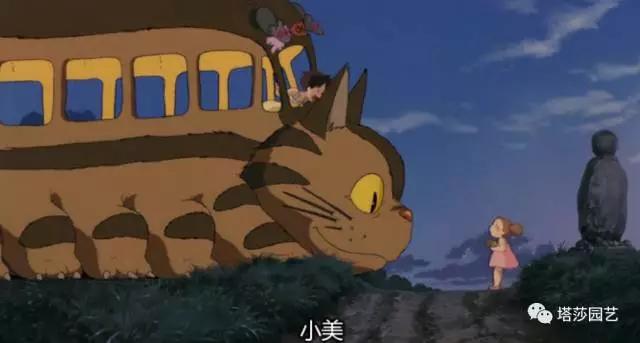 治愈系：《龍貓》中的植物世界（二）