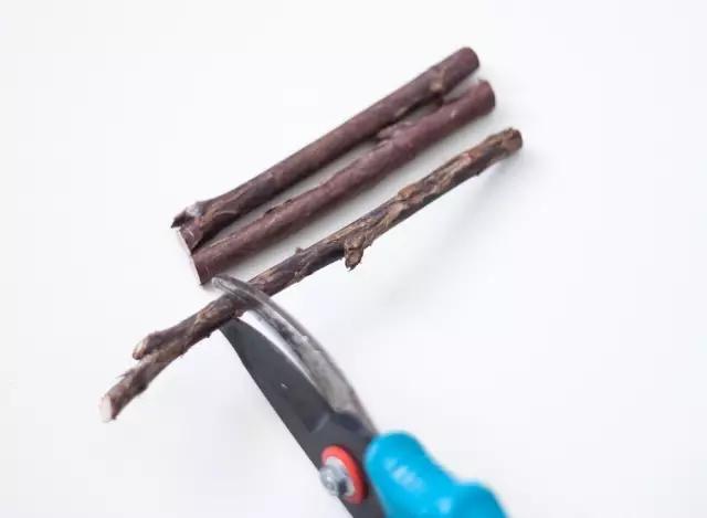 2.jpg 田園風:原來樹枝還能做這些