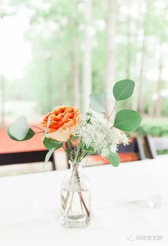 墜落人間的仙子—蕾絲