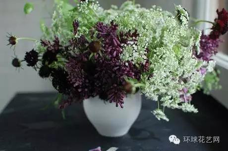 墜落人間的仙子—蕾絲