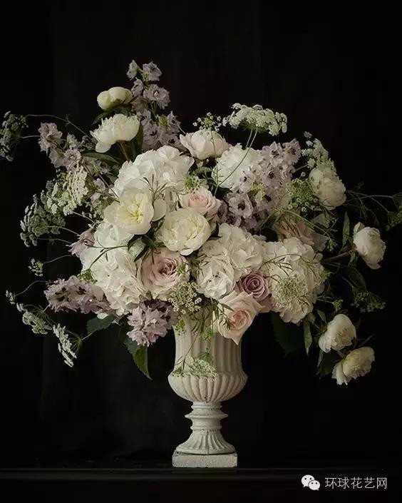 墜落人間的仙子—蕾絲