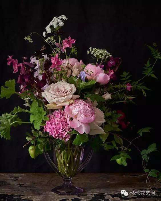 墜落人間的仙子—蕾絲