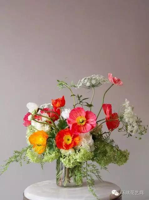 墜落人間的仙子—蕾絲