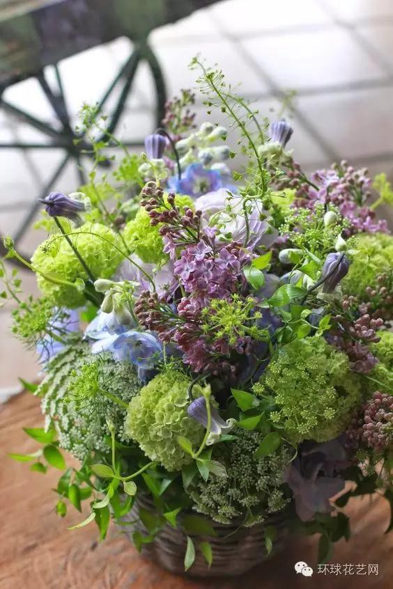 墜落人間的仙子—蕾絲