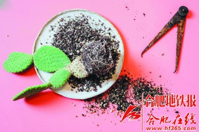 3.jpg 沙漠風(fēng)情的多肉植物拼盆