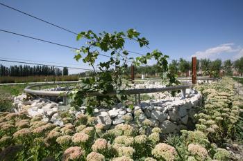 中國風景園林網