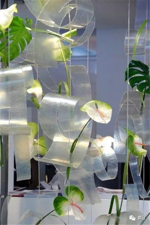 2_副本.jpg 彩掌切花作品欣賞