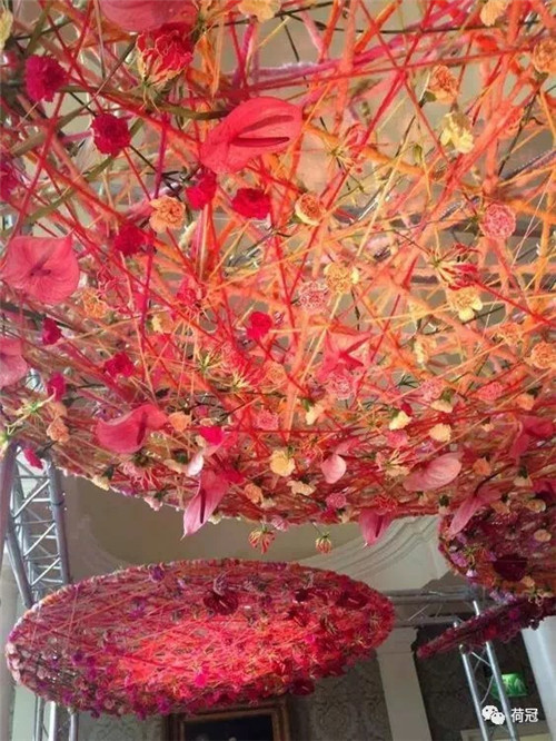 1_副本.jpg 彩掌切花作品欣賞