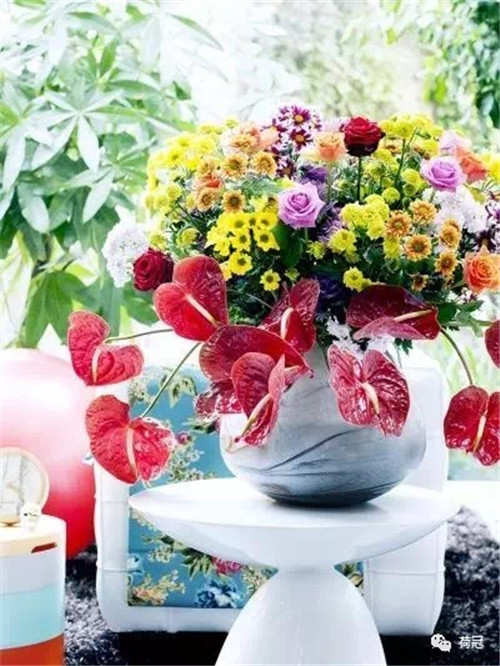 17_副本.jpg 彩掌切花作品欣賞