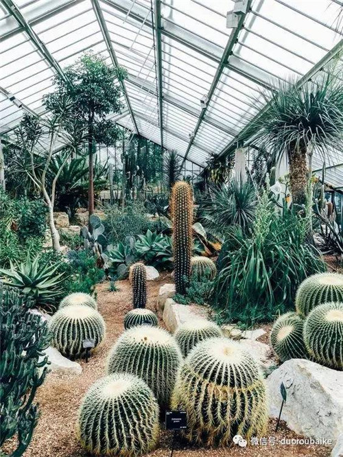 邱園——愿意愛好者的圣地