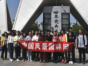 中國風景園林網考察世界花卉大觀園