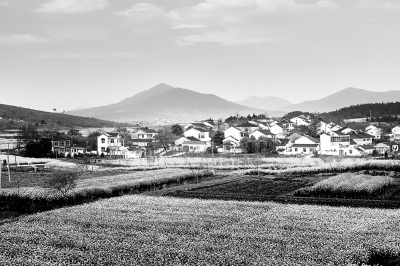 森林小鎮(zhèn)如何建