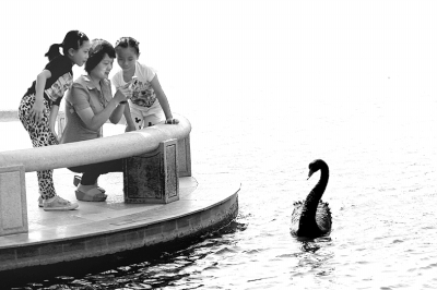 森林小鎮(zhèn)如何建